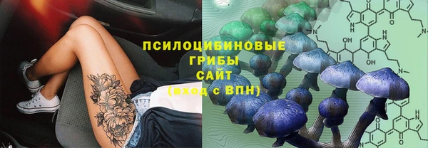 mdpv Верхний Тагил