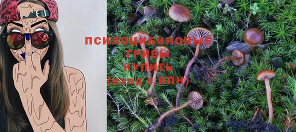 крисы Бугульма
