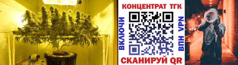 Дистиллят ТГК Wax Чишмы